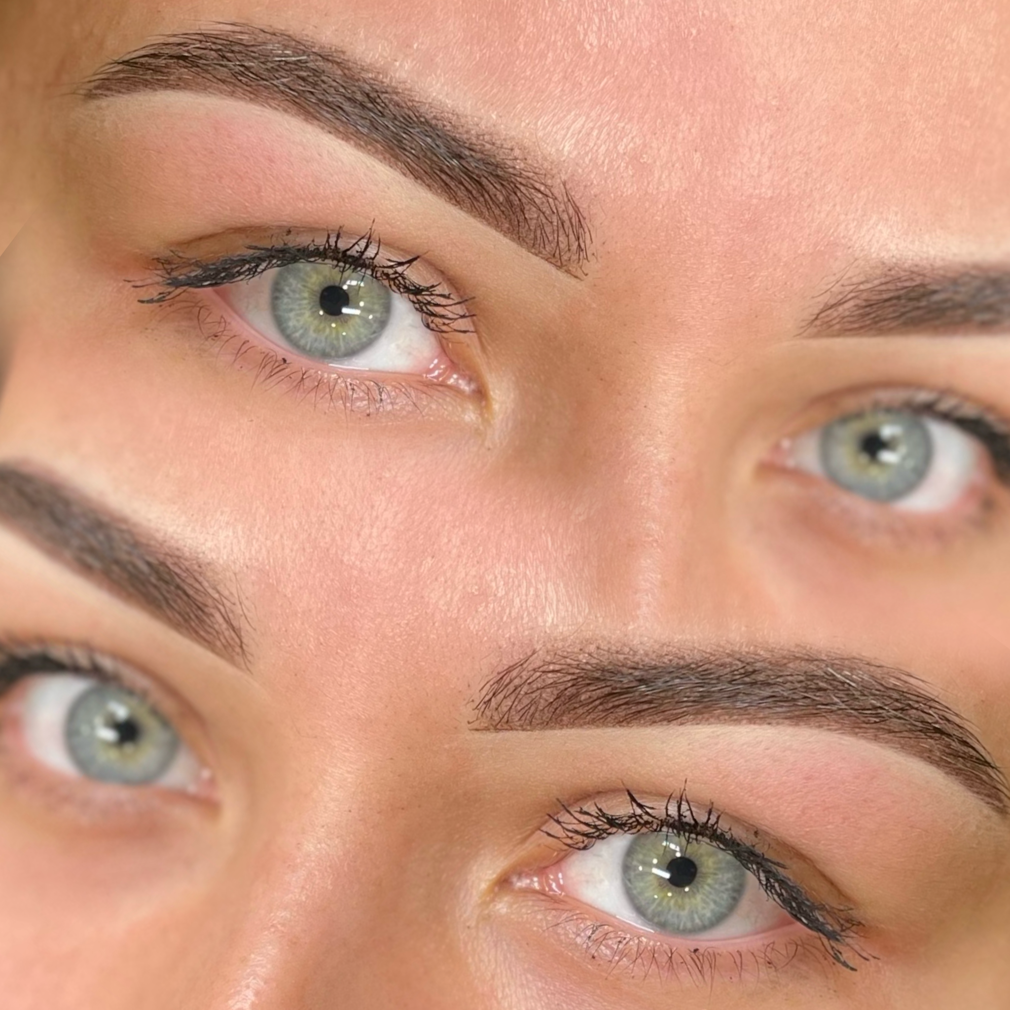 powderbrows geleen